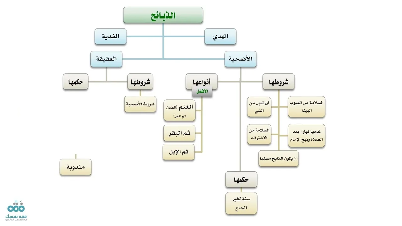 التأهيل الفقهي | المذهب المالكي | العبادات 12