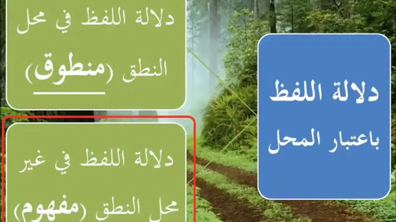 المدخل إلى علم أصول الفقه 4/9 - عامر بهجت