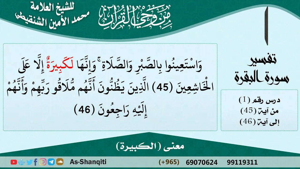 معنى (الكبيرة) للشيخ الشنقيطي - مشروع كبار العلماء