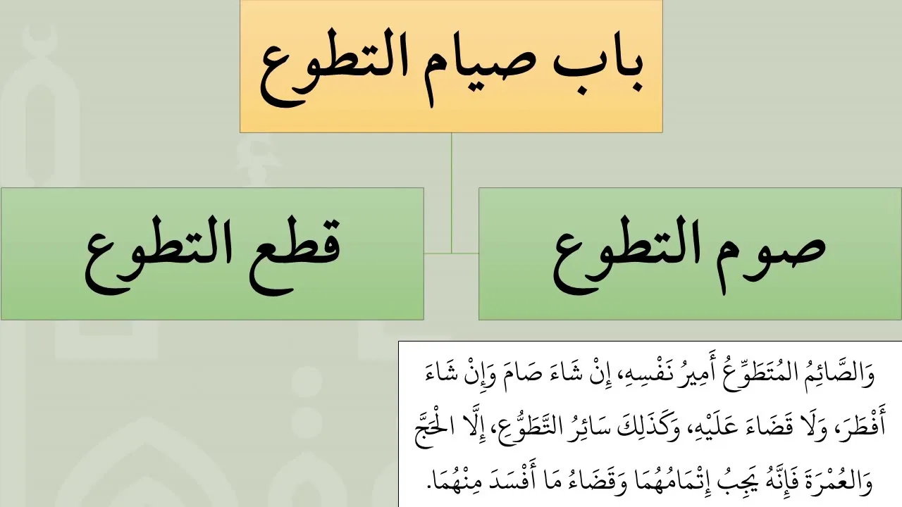 4  صيام التطوع من شرح عمدة الفقه - عامر بهجت