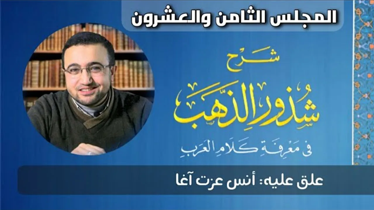 المجلس الثامن والعشرون من شرح شذور الذهب - أنس عزت آغا