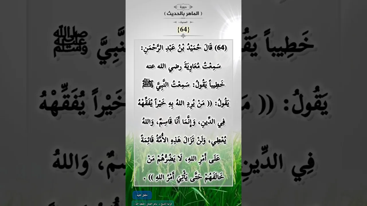 دورة (الماهرُ بالحديث) (64)