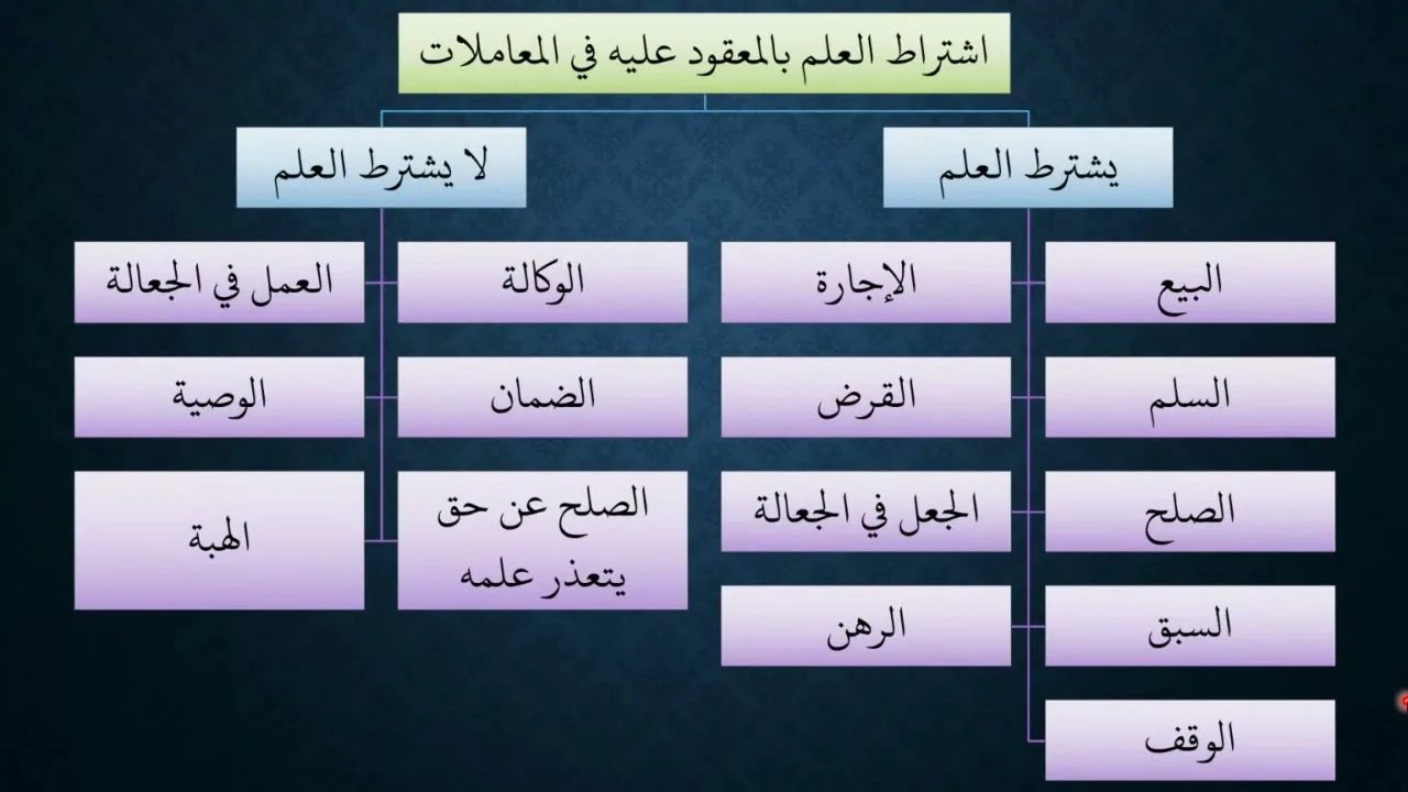 محاضرة مختصرة في شروط المعاملات إجمالا (مراجعة بشكل آخر لنظم الأساس)