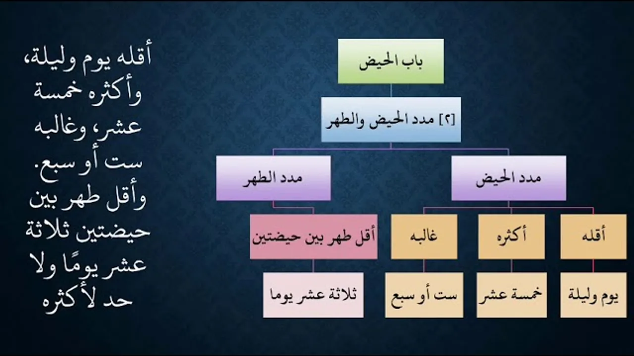١٢شرح زاد المستقنع - عامر بهجت - ١٤٤٠هـ (الحيض)
