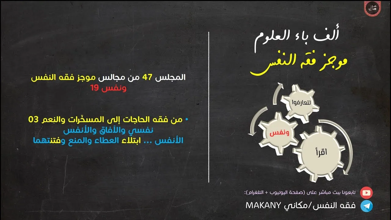 مجالس فقه النفس 047 | ونفس 19 | المُسخّرات والنِعم 03