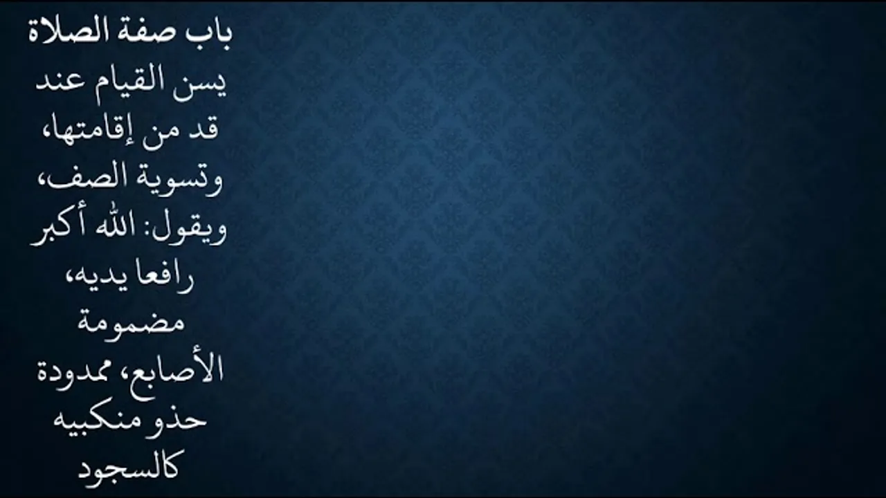 ١٧شرح زاد المستقنع - عامر بهجت - ١٤٤٠هـ (صفة الصلاة)