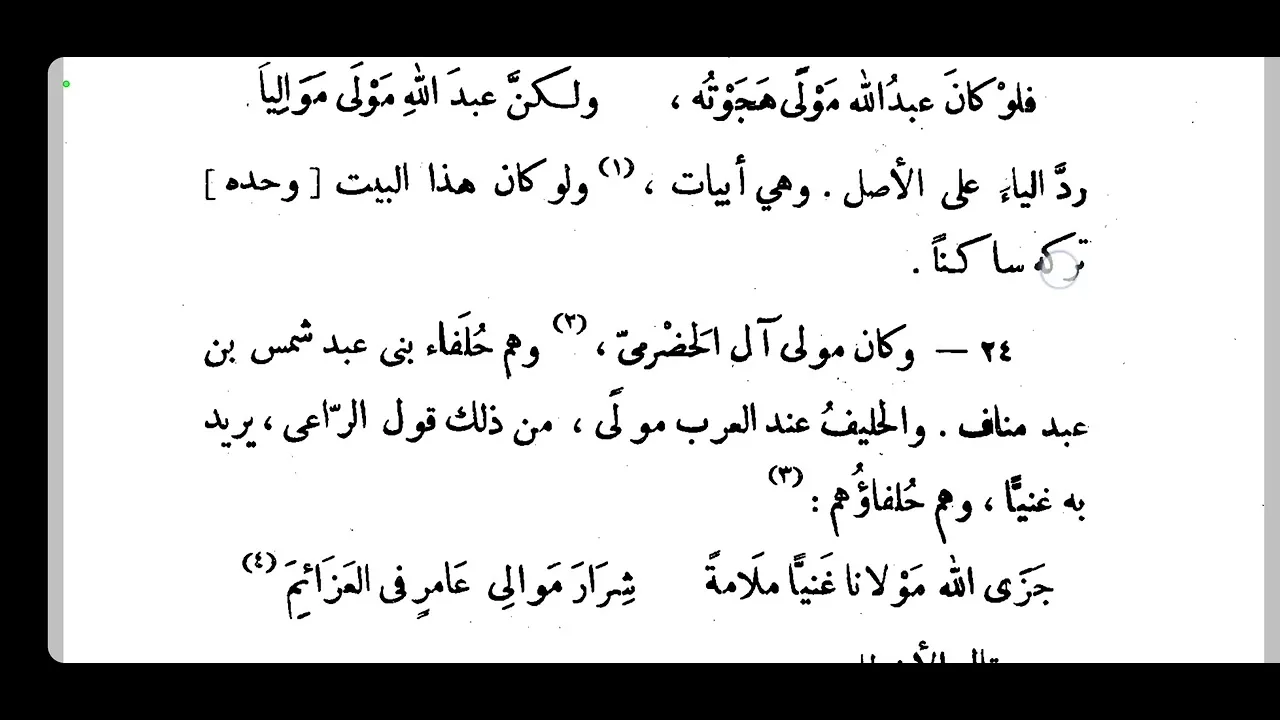 التعليق على طبقات فحول الشعراء [ 3 ]