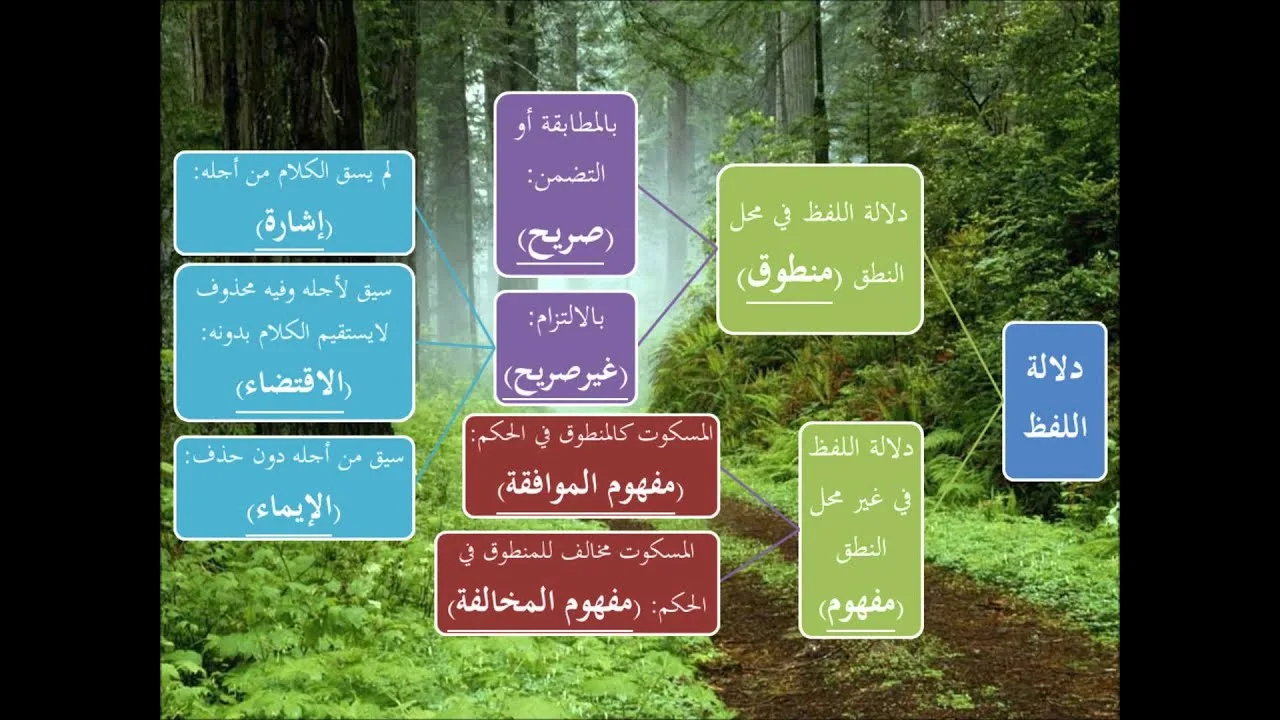 الطريق إلى علم أصول الفقه 3 من 5 - عامر بهجت