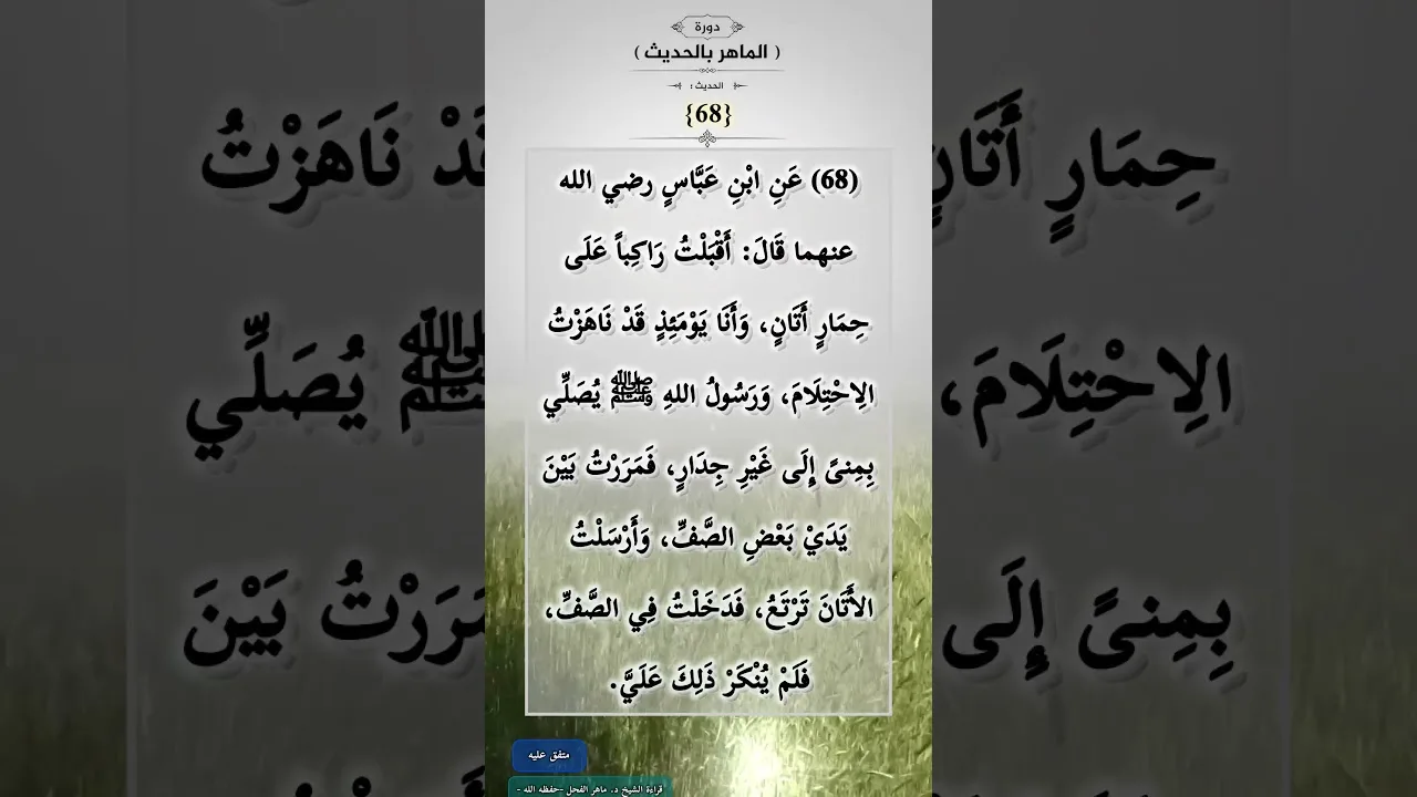 دورة (الماهرُ بالحديث) (68)