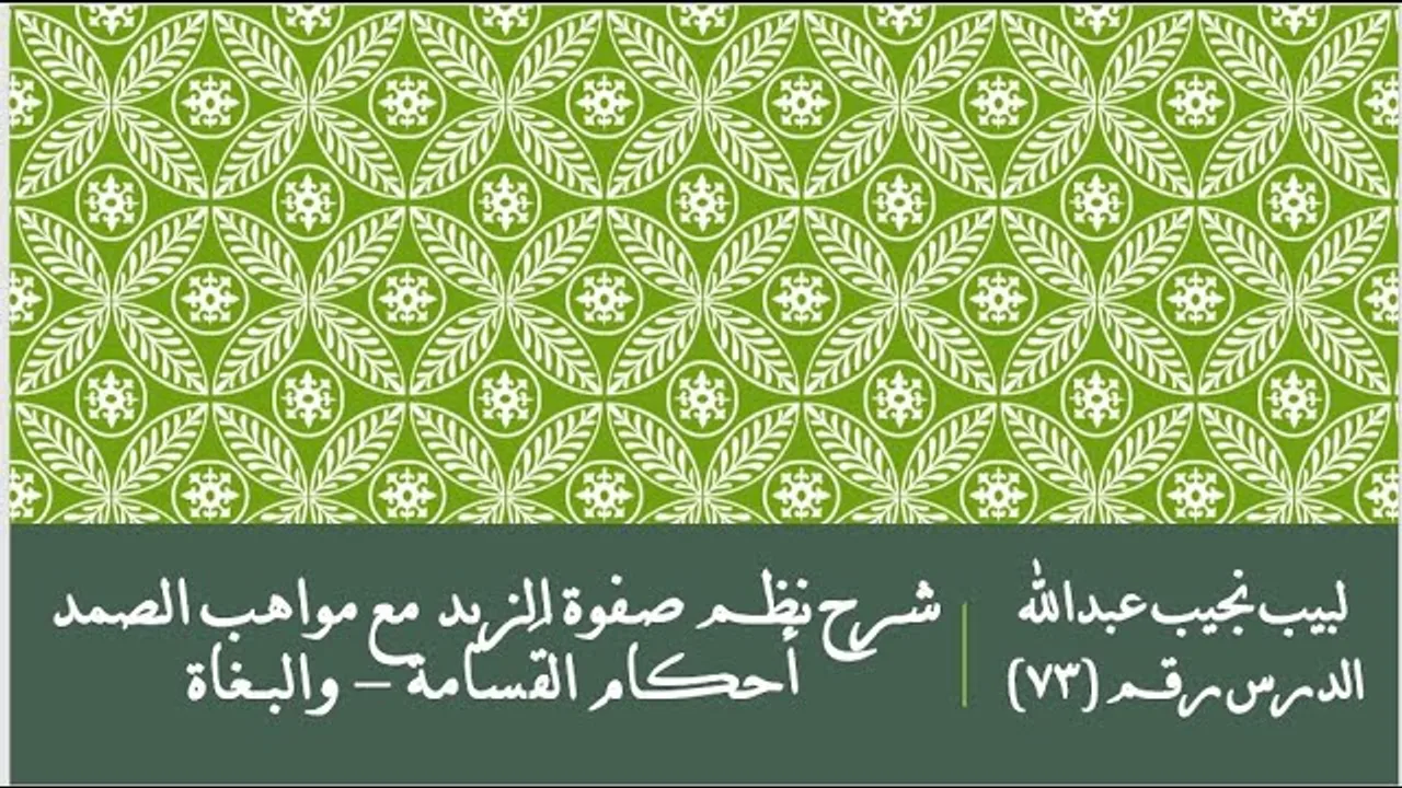 التعليق على نظم صفوة الزبد - 73 - أحكام القسامة - والبغاة