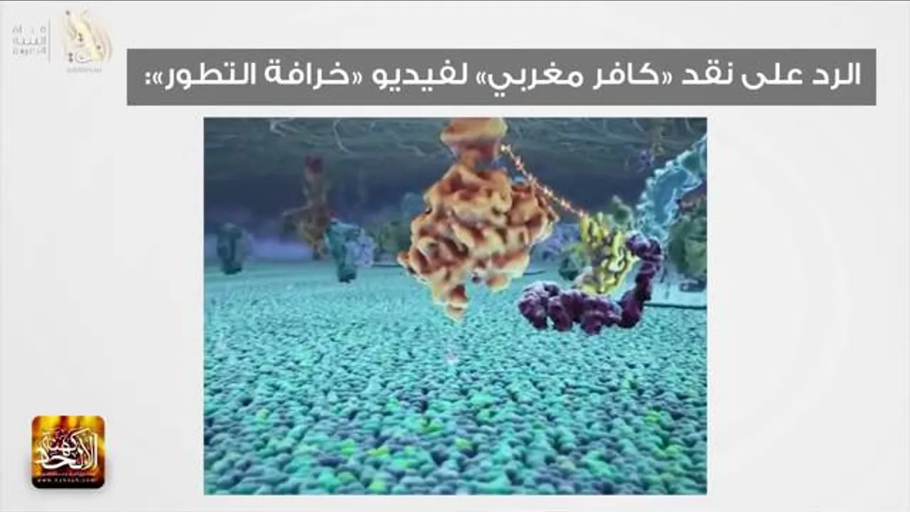 الرد على نقد كافر مغربي نوستيك وتحديات له و بيان تدليسه حول نظرية التطور
