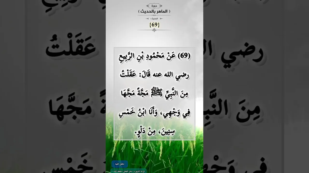 دورة (الماهرُ بالحديث) (69)