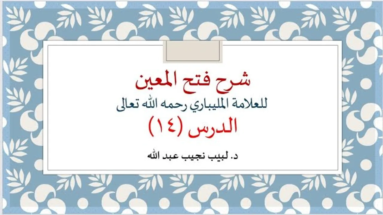 شرح فتح المعين للعلامة الفقيه المليباري - 14