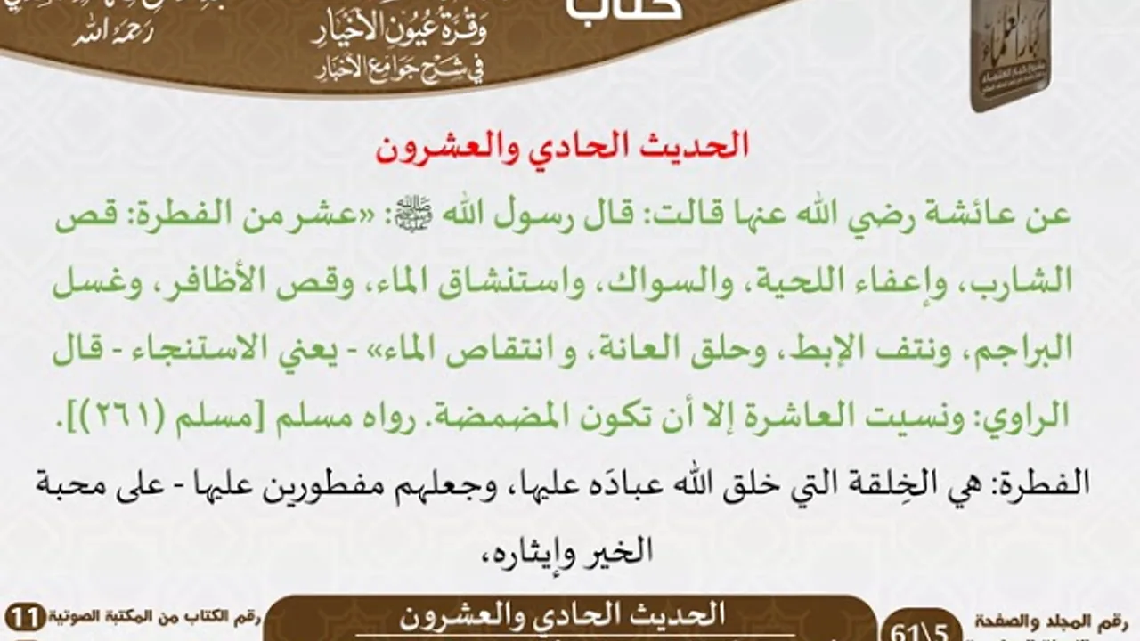 بهجة قلوب الأبرار وقرة عيون الأخيار في شرح جوامع الأخبار للشيخ السعدي - الجزء الأول - كبار العلماء