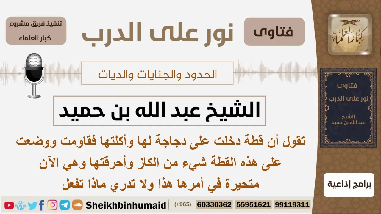 ماذا تفعل من أحرقت قطة لأنها أكلت دجاجة لها؟ الشيخ ابن حميد - مشروع كبار العلماء