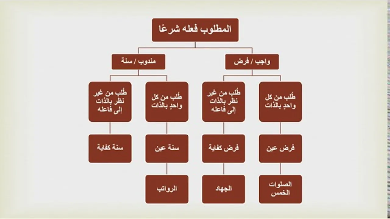 شرح درك المأمول [14.1] - العيني والكفائي