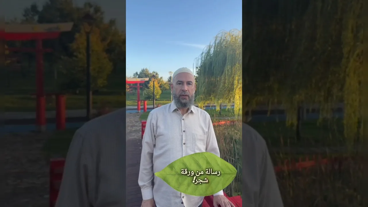 رسالة من ورقة شجر !