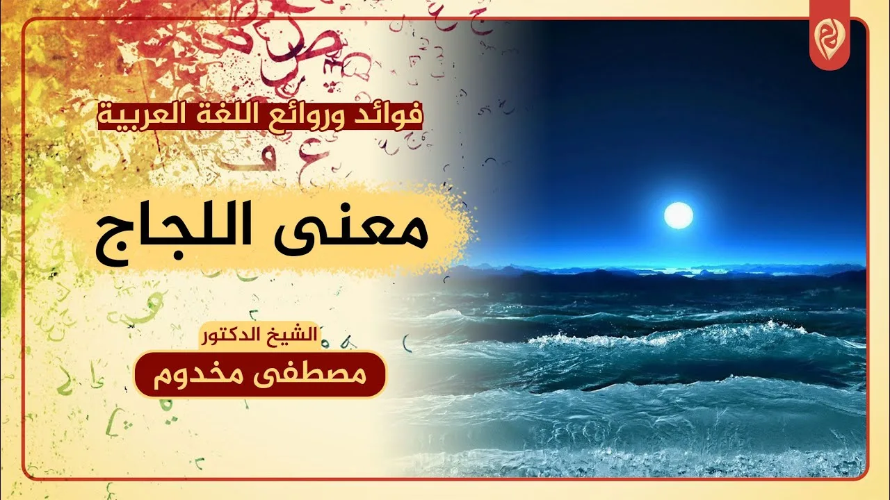 معنى اللَّجاج | فوائد وروائع اللغة العربية | الشيخ د. مصطفى مخدوم