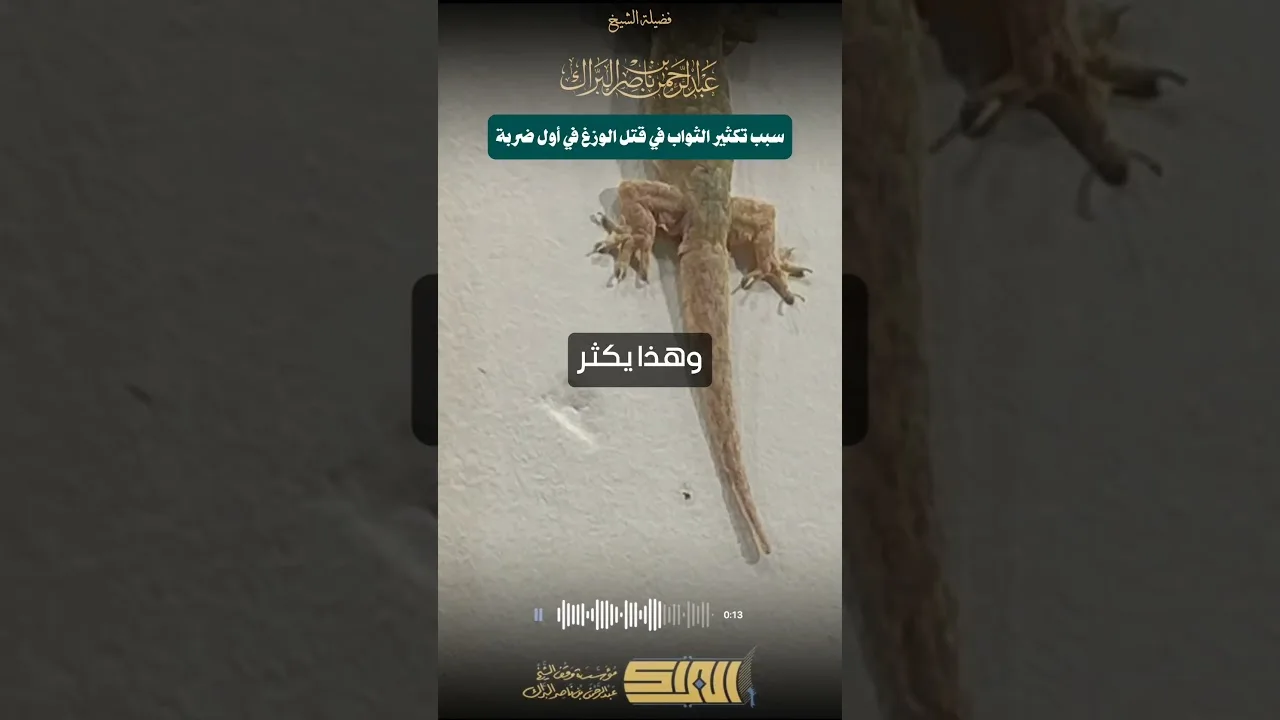 سبب تكثير الثواب في قتل الوزغ في أول ضربة - الشيخ عبدالرحمن البراك