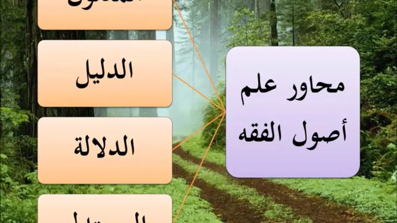 المدخل إلى علم أصول الفقه 9/9 - عامر بهجت