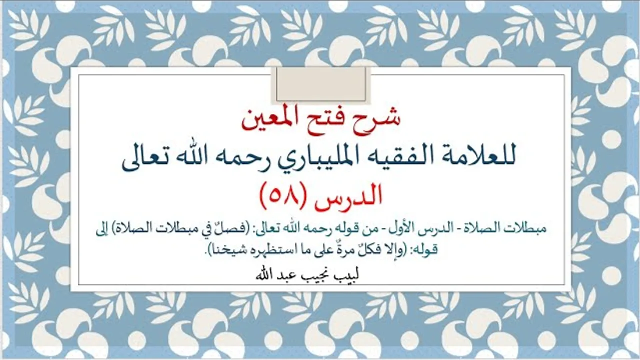 شرح فتح المعين للعلامة الفقيه المليباري - 58