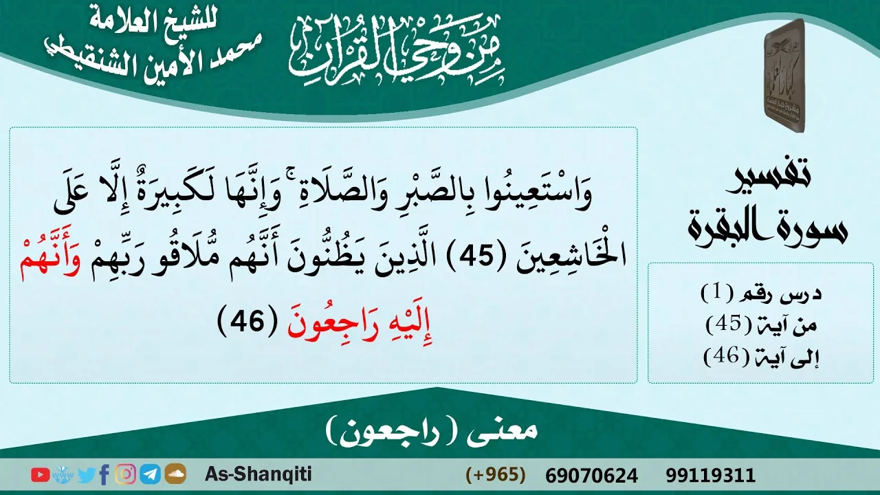 معنى (راجعون) للشيخ الشنقيطي - مشروع كبار العلماء
