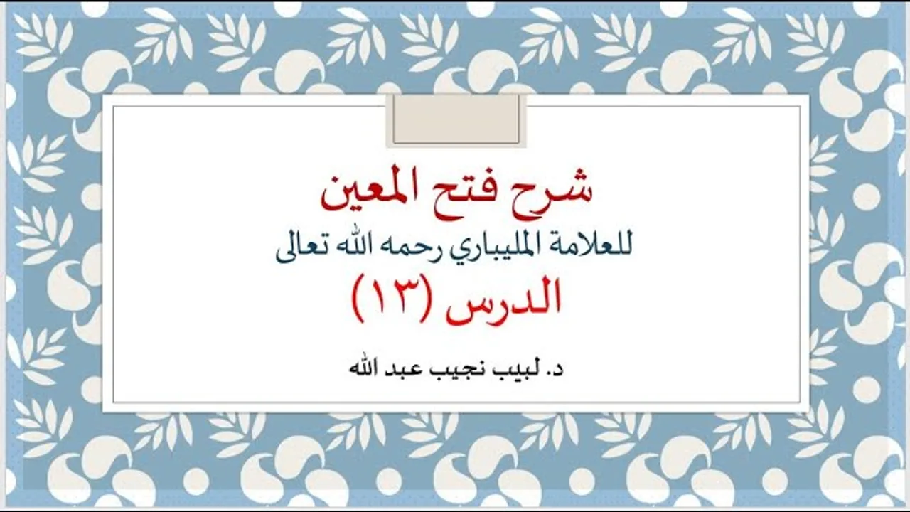 شرح فتح المعين للعلامة الفقيه المليباري - 13