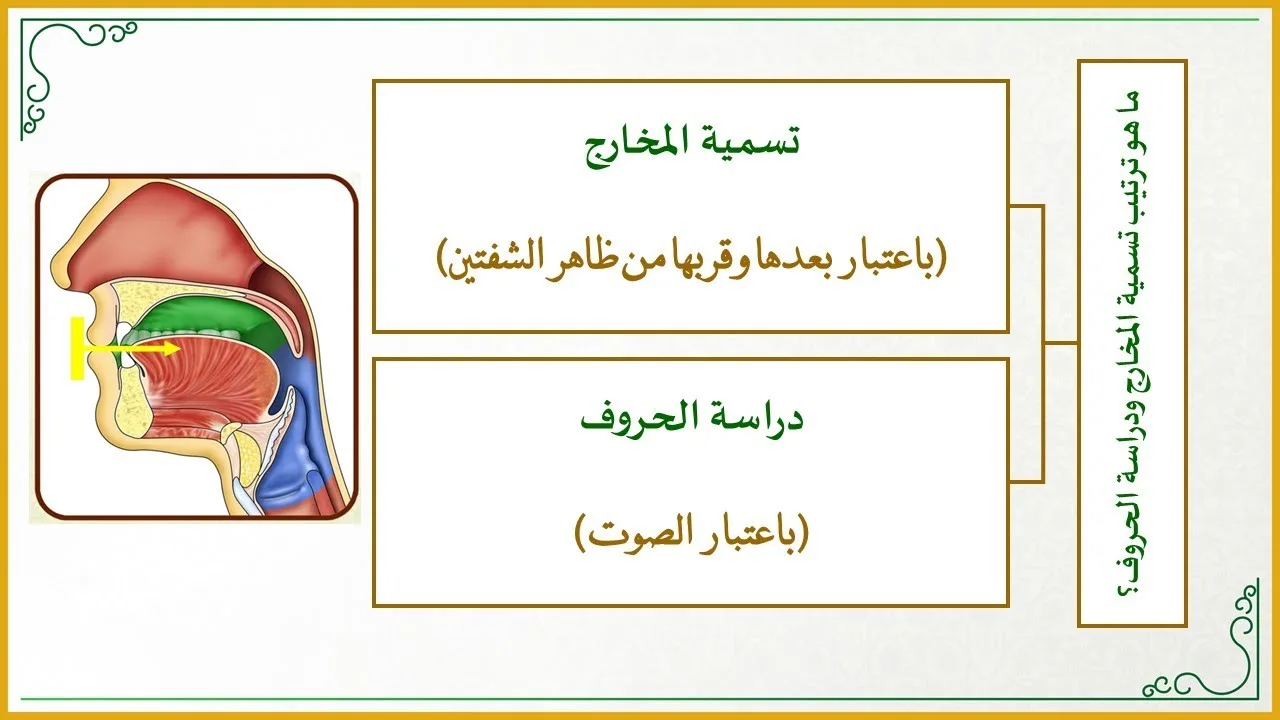 دقائق تجويدية 8 : كيف رتب العلماء تسمية المخارج ودراسة الحروف؟ (ميزان تسمية المخارج وتسمية الحروف)